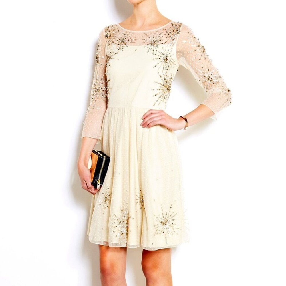 ALICE by Temperley Sheer and Sequin Firework Party Dress